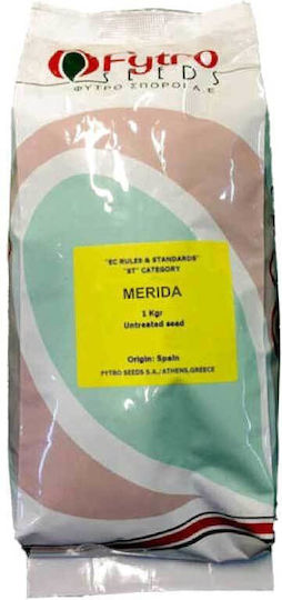 Fytro Семена Трева Фестука Мерида 1kg