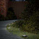 vidaXL Set of 4 Floor Solar Lights 10lm Warm Wh...