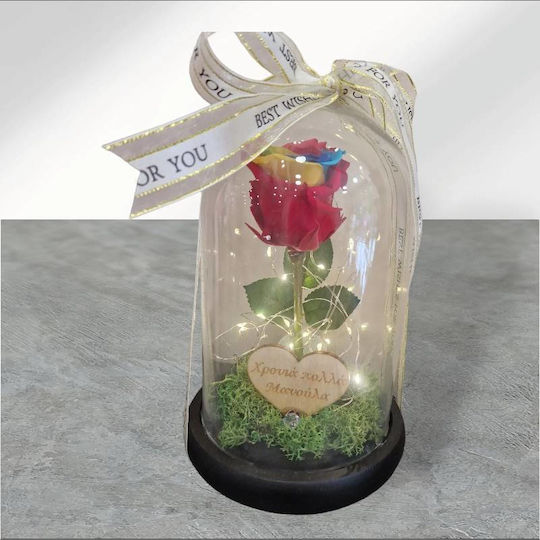 Eternal Rose 25cm in Yala