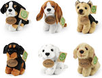 Rappa Plush Puppy 12 cm. (Various Designs) 1pc