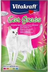 Vitakraft Grass for Cat 50gr