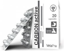 Vetapro Carbon Active for Dogs and Cats in Syrup