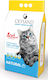 Olysand Bentonite Cat Litter Unscented 8.5kg / 10lt