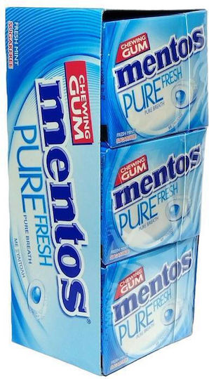 Mentos Menthos Kaugummi Pure Box Frischer Minze 12 Stück 18g