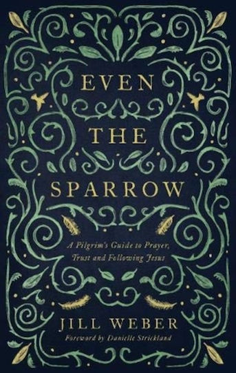 Even Sparrow Muddy Pearl Paperback Softback