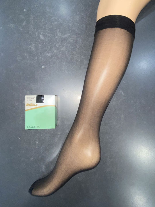 Dollina