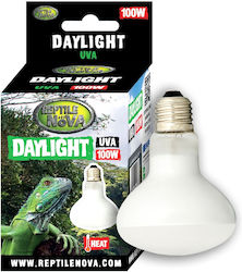 Reptile Nova Accessory for Reptiles Terrarium