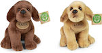 Rappa Plush Puppy Labrador 20 cm. (Various Designs) 1pc