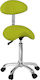 Weelko Medical Stool with Backrest Green 1902060GREEN