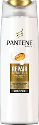 Pantene Pro-V Repair & Protect Sampon de Par Re...