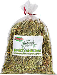 Alegia Лекува За Мишка 100гр 1.4л Alegia Лекува За Мишка 100гр 1.4л