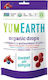 YumEarth Candies with Flavor Fruits 93gr