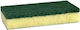 HOMie Σφουγγάρι Πιάτων