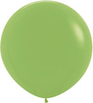 Set of 10 Balloons Latex Green