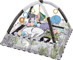 Kikka Boo Baby Gym for Newborns Kikka Boo Baby Gym for Newborns