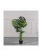 Artificial Outdoor Tree Monstera Green 115cm Supergreens