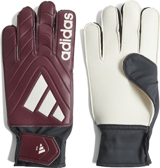 adidas Copa Gl Clb Torwarthandschuhe Erwachsene Lila