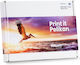 Pelikan B B C M Y Compatible Toner for Laser Printer Canon CLI 570XL/571XL Multicolour