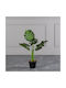 Artificial Plant in Pot Monstera Green 70cm Supergreens