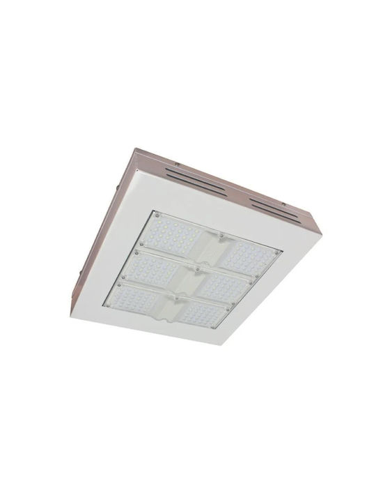 Aca Petron Waterproof Outdoor Ceiling Light with Integrated LED in White Color PET12060C5151