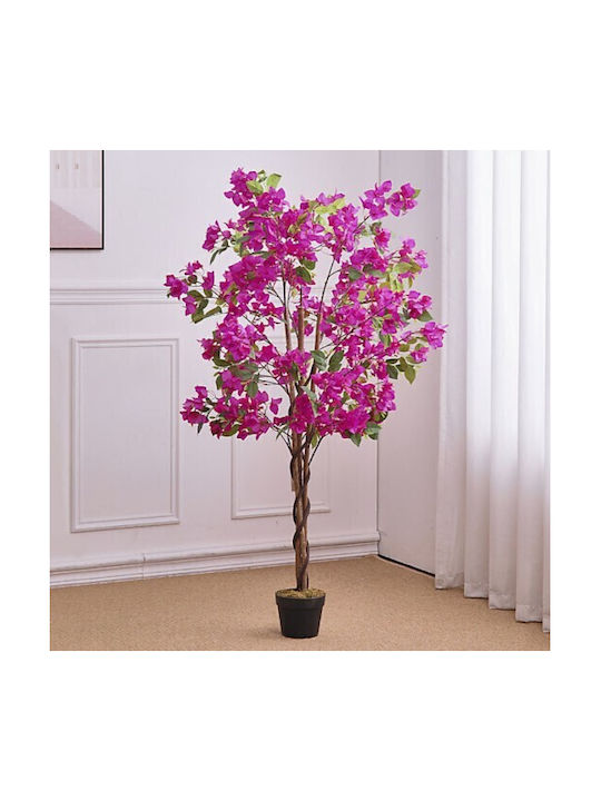 Βουκαμβίλια Εξωτερικού Χώρου Μωβ 150cm Gardin