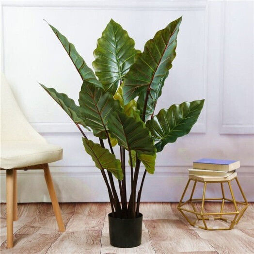 Alocasia в саксия 100см Gardin