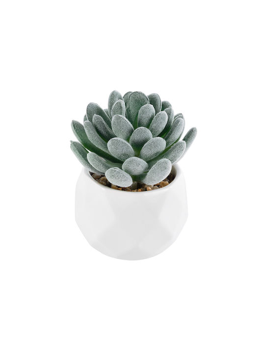 Globostar Grădină Artificială Suculentă Sedeveria 21001 Plantă Decorativă Suculentă Sedeveria H9.5cm