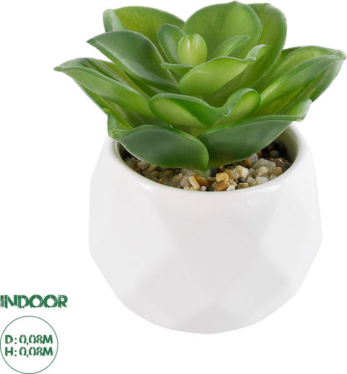 Globostar Artificial Garden Succulent Echeveria 21003 Decorative Plant Succulent Echeveria H8cm