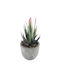 Globostar Artificial Garden Succulent Aloe 21008 Decorative Plant Succulent Aloe H14cm