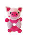 Παιχνίδι Σκύλου Happypet Little Rascals Play Ring 20x13x8cm