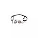 Vw Touareg 7la 7l6 7l7 Verteilungssatz Contitech Ct920k3