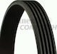 Audi A6 4f2 C6 Contitech 5pk1105 Transmission Belt