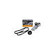 Set curea de transmisie Ford Tourneo Connect Contitech 6pk1715k1