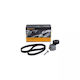 Set Transmission Belt Fiat 500 312 Contitech 6pk1180k3