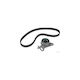 Distribution Kit Hyundai H-1 Body Contitech Ct921k2