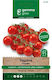Gemma Σπόροι Τομάτας Cherry