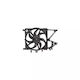 Ventilator Radiator Opel Corsa C F08 F68 Tyc 825-0007