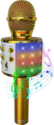 Party Fun Lights Μικρόφωνο Karaoke Ασύρματο