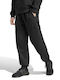 Adidas Herren-Sweatpants Schwarz