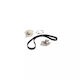 Water Pump Set + Timing Belt Nissan Primera Hatchback P12 Contitech Ct1064wp1