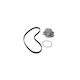 Water Pump Set + Timing Belt Seat Cordoba 6k1 6k2 Contitech Ct732wp1