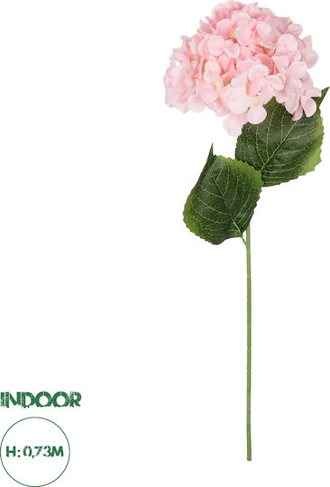 Hortensia Roz GloboStar Hortensia Roz GloboStar