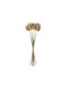 Dried Plant Beige 50cm GloboStar