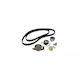 Kit de distribuție Ford Escort `95 Avl Body Dayco Ktb250
