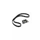 Timing Belt Kit Renault Grand Scénic Ii Jm0 1 Dayco Ktb467