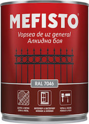 Metal Wood Paint Mefisto Ral 7046 Gray Color 650ml Satin Finish Decorative Protection Metal Wooden Surfaces Outdoor Indoor Spaces Metal Wood Paint Mefisto Ral 7046 Gray Color 650ml Satin Finish Decorative Protection Metal Wooden Surfaces Outdoor Indoor Spaces
