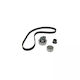 Bmw 3 Touring E30 Dayco Ktb217 Distribution Kit