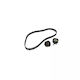Verteilerkit Ford Transit Connect P65 P70 P80 Dayco Ktb408