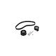 Nissan Interstar Bus X70 Dayco Ktb309 Distribution Kit