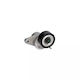 Dacia Duster Keilrippenriemenspanner Dayco Apv3097